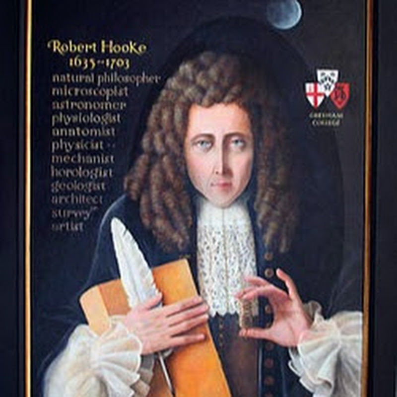 Hooke Foundation Structural Analysis