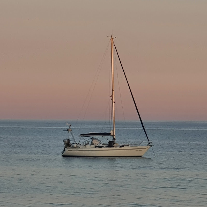 sailingdarmelica7447