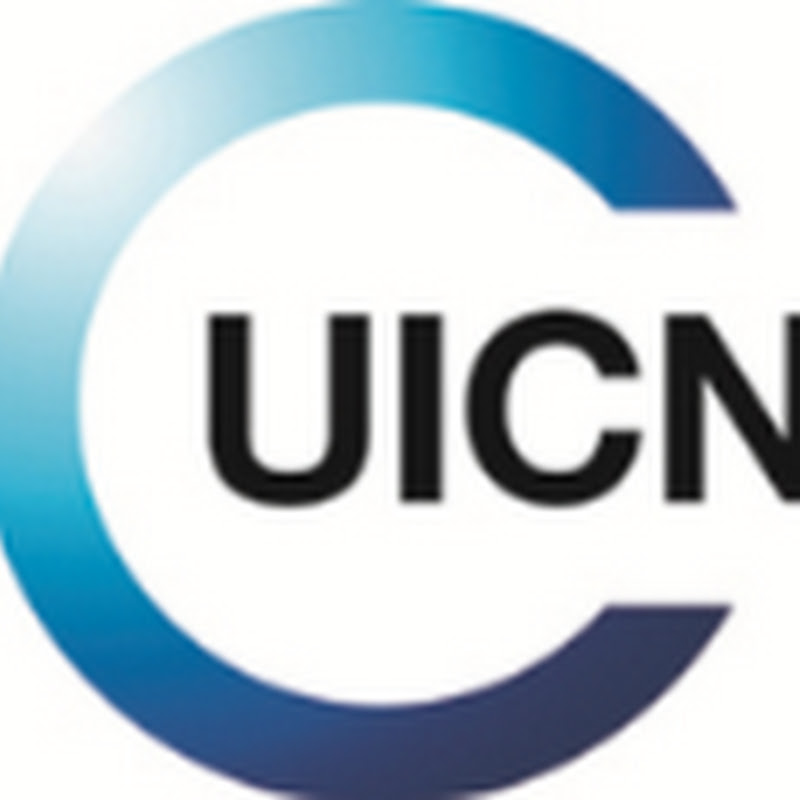 UICN ORMACC