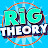 Rig Theory