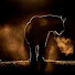 aCeJElpJPaA-channel-avatar-Tricky Dicky