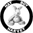 wmJPW39ufV4-channel-avatar-HatBoyHarvey