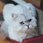 @user-qf1wg5gz1e