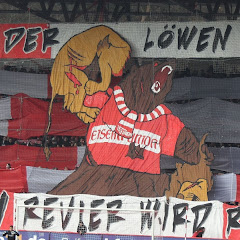 Magengeschwuer