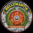 CFbpqg0tXQM-channel-avatar-BELLUMARTIS HISTORIA MILITAR