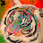 @user-dc3vl2gp5q
