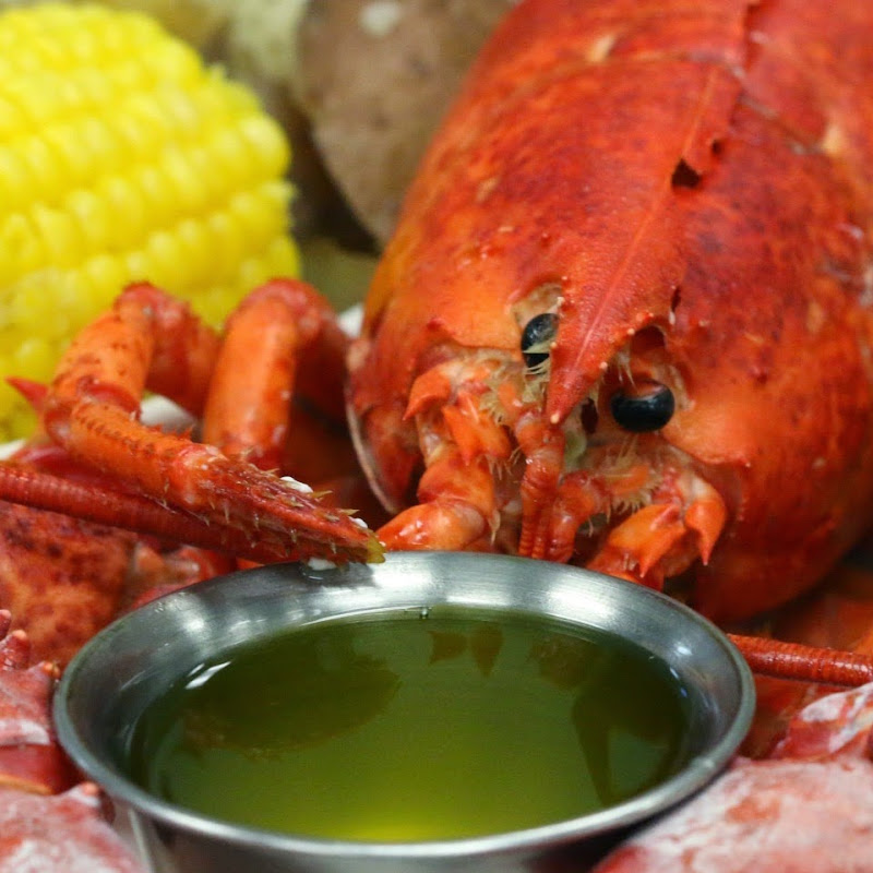Big Fin Seafood Kitchen