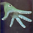 zD6AMEFKScM-channel-avatar-DroneSoma