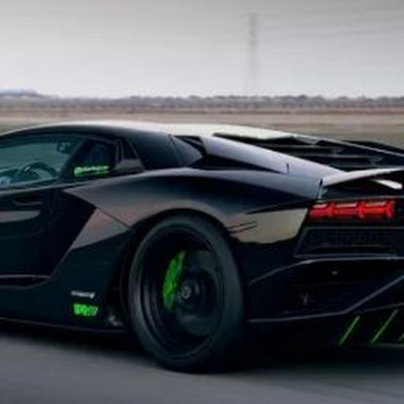 sports car lover