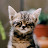 @bouchrakhadra2191
