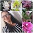 N3MwQJShr4M-channel-avatar-Luciana e suas orquideas & artesanatos