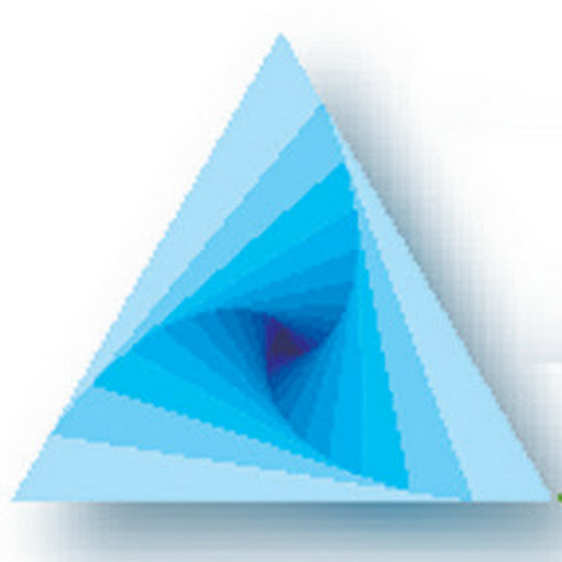 Triangle Network inc.