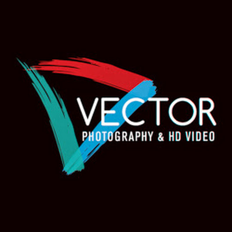 Vectorphotography