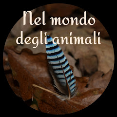 Логотип каналу Nel mondo degli animali