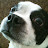 @jeffeason3599's avatar
