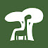 jmv6EHsfuFU-channel-avatar-The Sapling and Moth Light Media