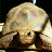 @elliotnickells2624's avatar