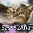 JkHePCy4_gM-channel-avatar-sas152ana ultimate
