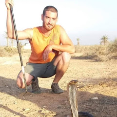 Miguel “mundo animal” Alonso avatar