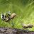 @reidheartable Avatar