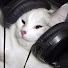yfxQoWdeIdY-channel-avatar-chen