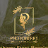 p_UAO9CpBWM-channel-avatar-Photoberry Story Bangladesh