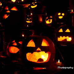 らんまるの怪眠ちゃんねる