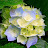 @yahya145020
