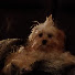 Channel Image