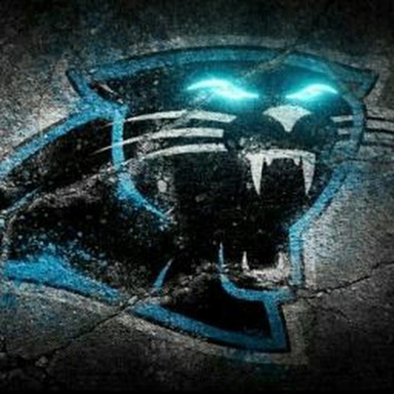 panthers world