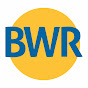 Bharat Wire Ropes Limited (BWR) logo