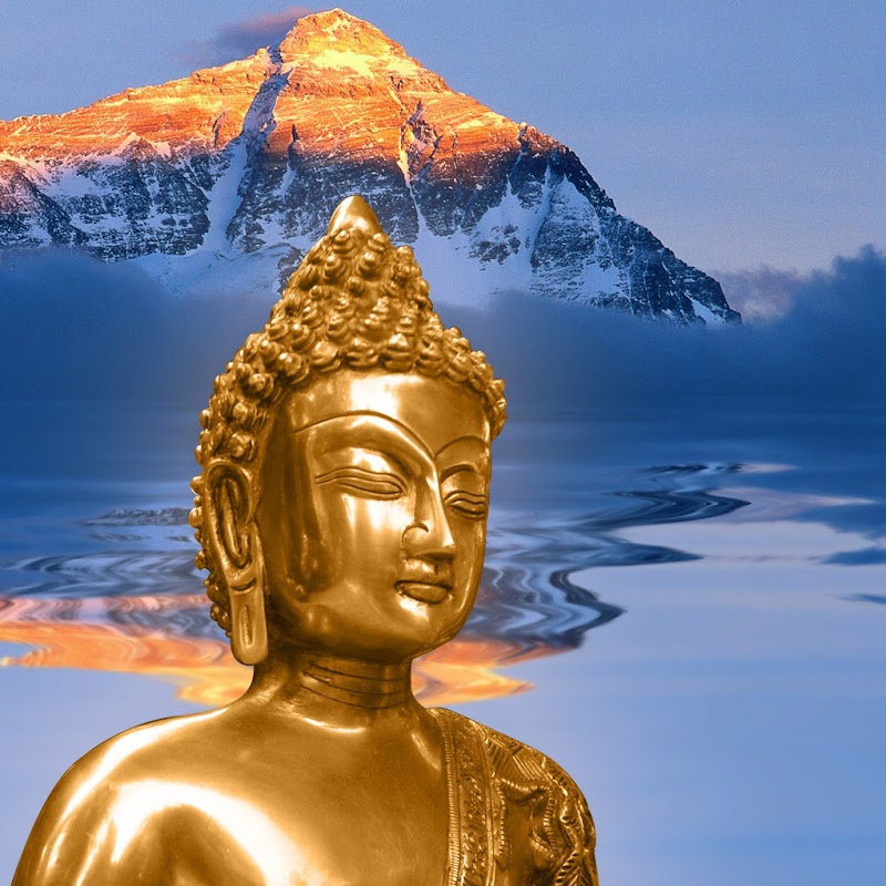 Bright Enlightenment