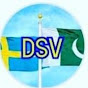 DESI SWEDISH VLOG logo
