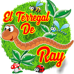 EL TERREGAL DE RAY Avatar