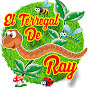 EL TERREGAL DE RAY
