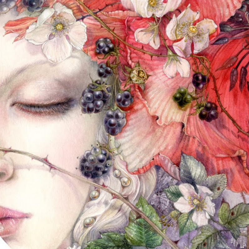 Stephanie Law