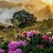 @عمرالمدني-ط8ع