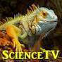 ScienceTV
