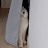 @user-fp3dn8sw3u