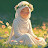 @haidymohamedgamal7957