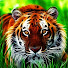 F5KlZSnHIKE-channel-avatar-Alyssa Bullock