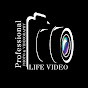 Life Video Rajkot