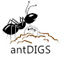 antDIGS logo
