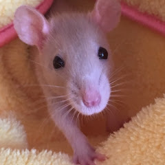 李白アイコン画像