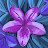 @matskay1971 Avatar