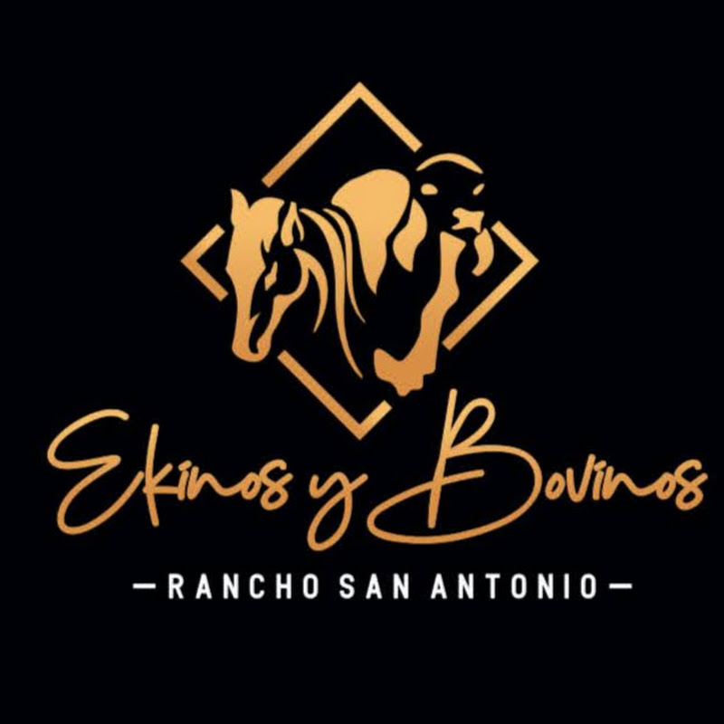 Andres Jaramillo Ekinos y Bovinos