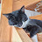 @rasmushaldolsen8510 Avatar