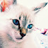 lCtNhlZOjzA-channel-avatar-Mirela Chituc