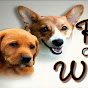 channel pets logo