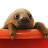 @jprowland's avatar